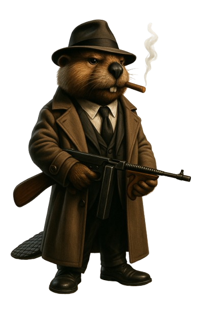 BOBRITO BANDITO